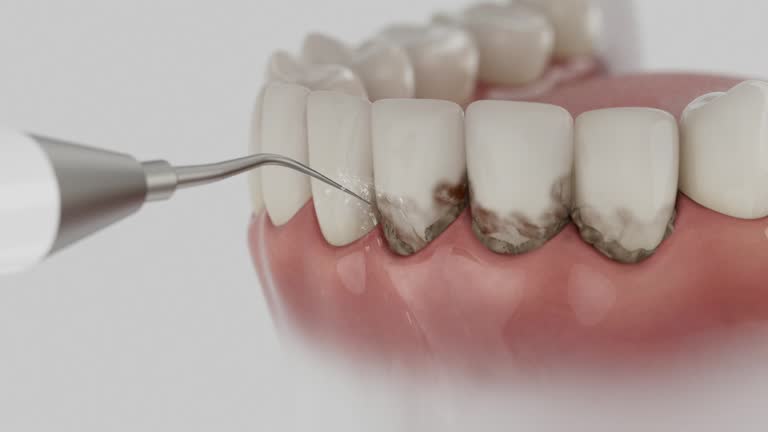 Reliable Dental contractor in Bel Air South, MD by Dentist Open Now
